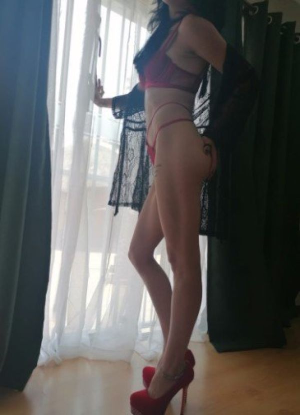Elegant South Africa (Pretoria) vip escort VIOLET (ZAR 1200 per hour)